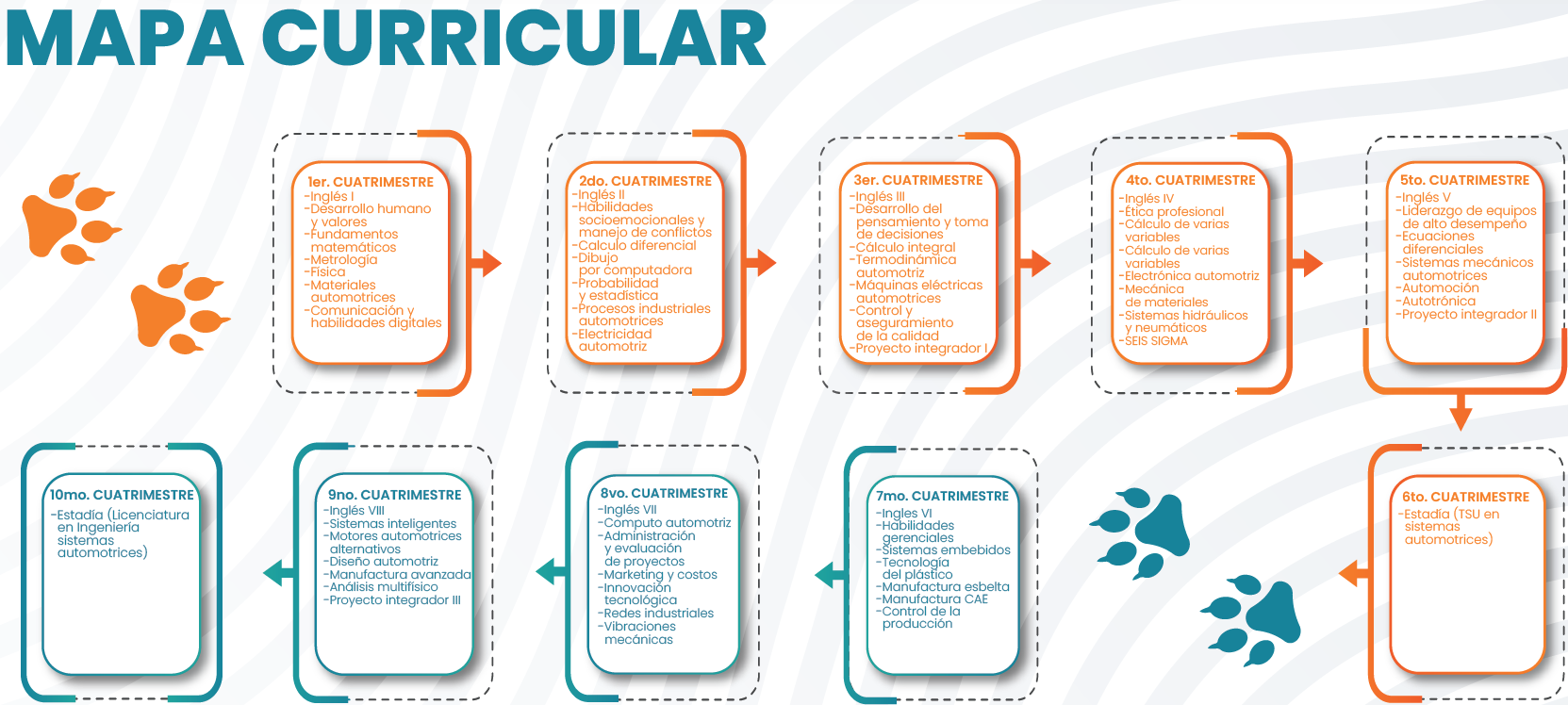 Mapa Curricular de la ingenieria industrial.