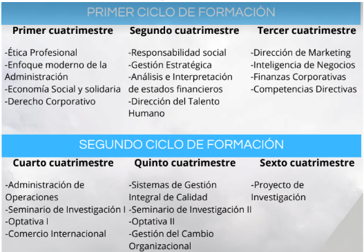 Mapa curricular